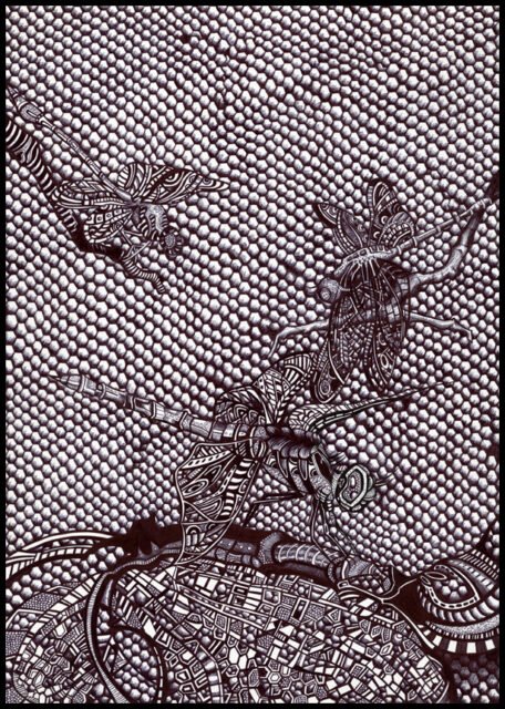 dessin de libellules au stylo à bille Bic