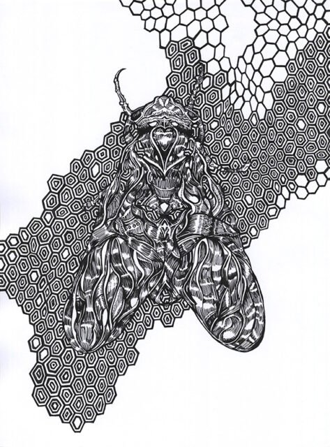 dessin détaillé de papillon plume et encre de chine